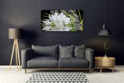 Image sur verre acrylique Fleur eau pierre floral blanc noir