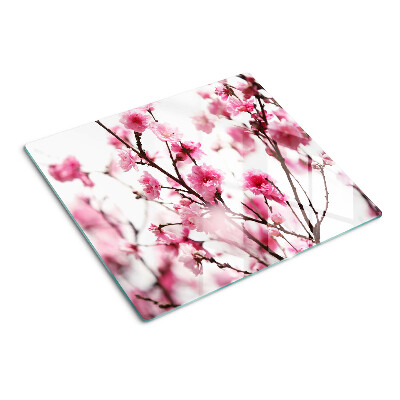 Planche à découper verre Fleurs de cerisier en fleurs
