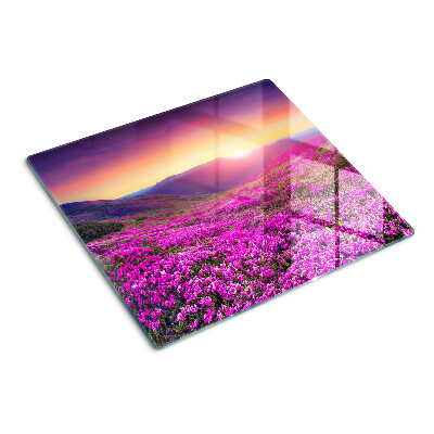 Planche à découper en verre Paysage fleuri au coucher du soleil