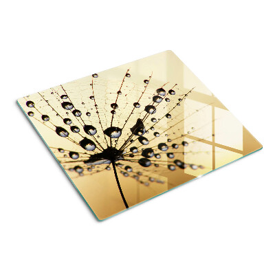 Planche à découper en verre Gouttes d'eau sur une toile d'araignée