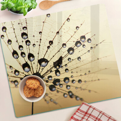 Planche à découper en verre Gouttes d'eau sur une toile d'araignée