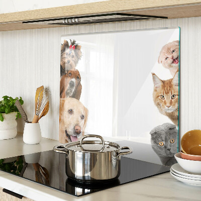 Planche à découper verre Chiens et chats dans différentes poses