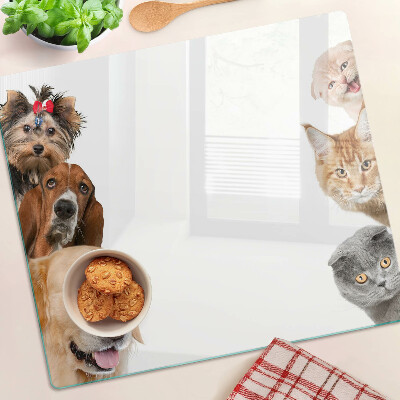 Planche à découper verre Chiens et chats dans différentes poses