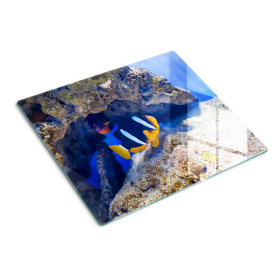 Planche à découper en verre Poisson dans un récif corallien