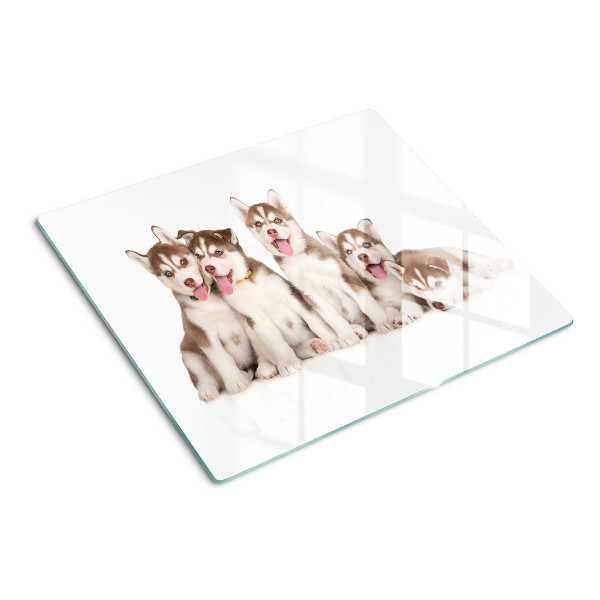 Planche à découper en verre Chiots Husky