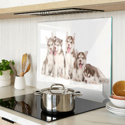 Planche à découper en verre Chiots Husky
