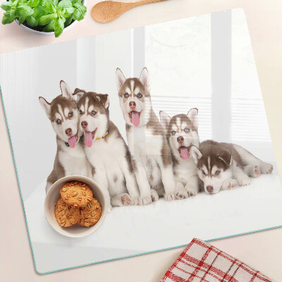 Planche à découper en verre Chiots Husky
