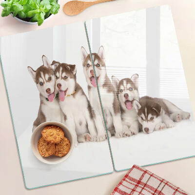Planche à découper en verre Chiots Husky