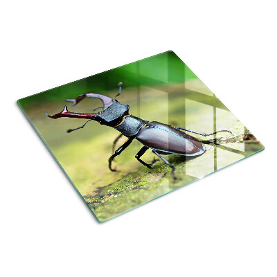 Planche à découper verre Lucane cerf-volant sur fond vert