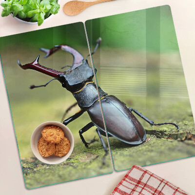 Planche à découper verre Lucane cerf-volant sur fond vert