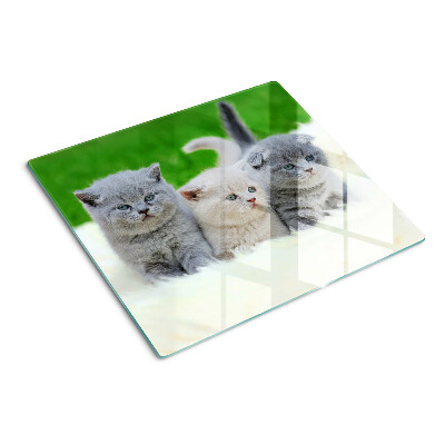Planche à découper en verre Chatons sur fond vert