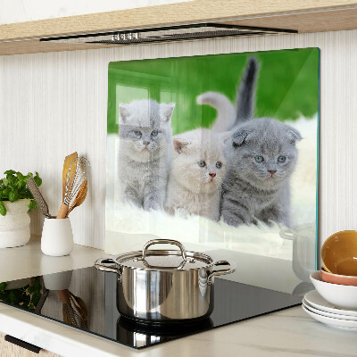Planche à découper en verre Chatons sur fond vert