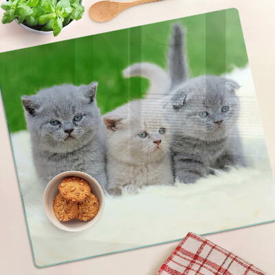 Planche à découper en verre Chatons sur fond vert