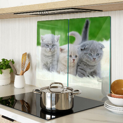 Planche à découper en verre Chatons sur fond vert