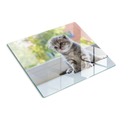 Planche à découper en verre Chaton sur le rebord de la fenêtre