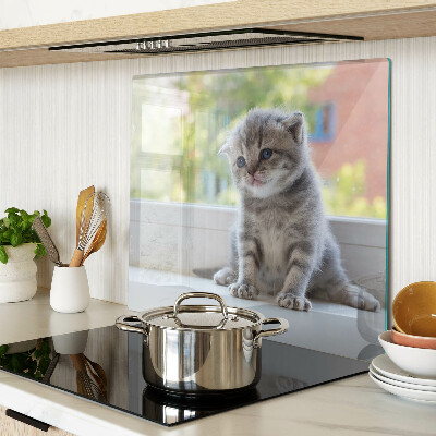 Planche à découper en verre Chaton sur le rebord de la fenêtre