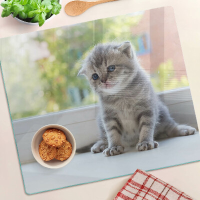 Planche à découper en verre Chaton sur le rebord de la fenêtre