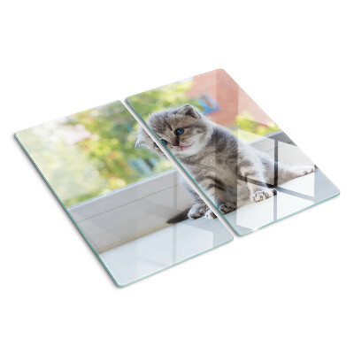 Planche à découper en verre Chaton sur le rebord de la fenêtre