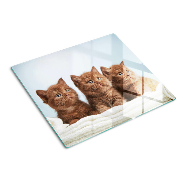 Planche à découper en verre Trois chats bruns