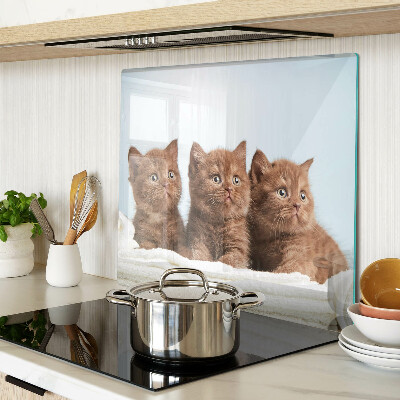 Planche à découper en verre Trois chats bruns