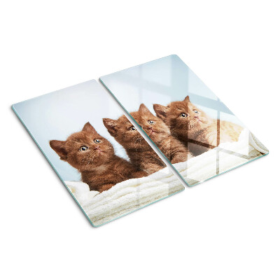 Planche à découper en verre Trois chats bruns