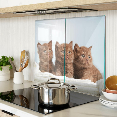 Planche à découper en verre Trois chats bruns