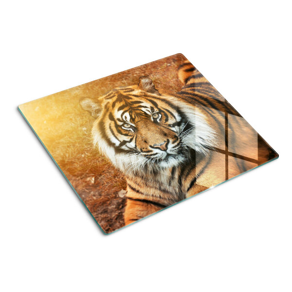 Planche à découper verre Tigre au soleil