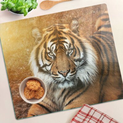 Planche à découper verre Tigre au soleil