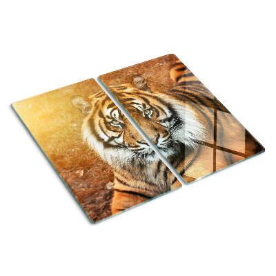 Planche à découper verre Tigre au soleil