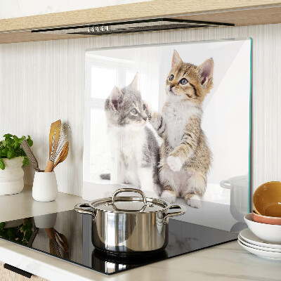Planche à découper verre Chats sur fond blanc
