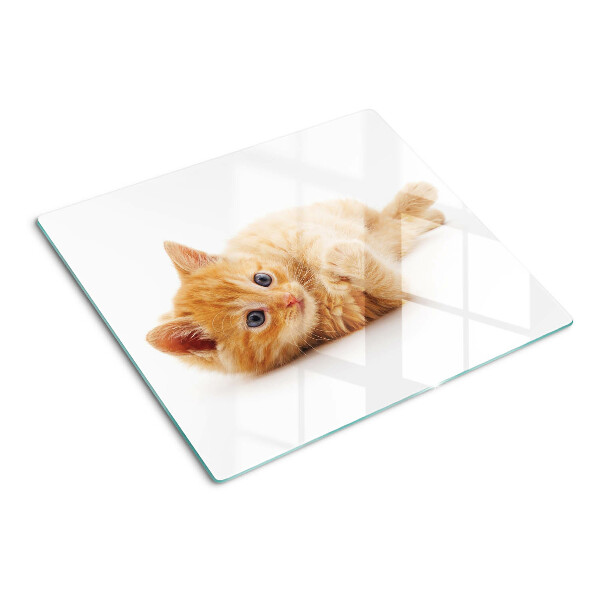 Planche à découper en verre Chaton roux sur fond blanc