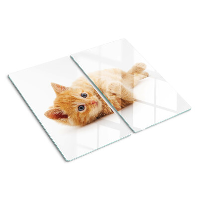 Planche à découper en verre Chaton roux sur fond blanc