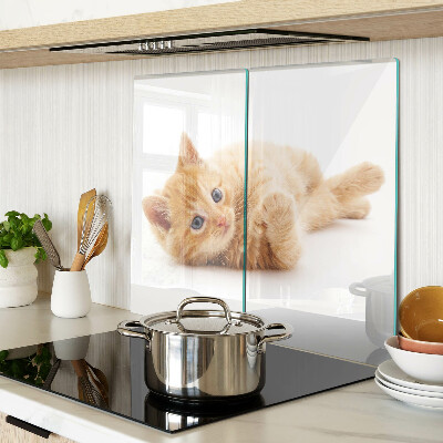 Planche à découper en verre Chaton roux sur fond blanc