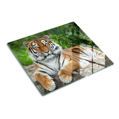 Planche à découper verre Tigre dans son habitat naturel