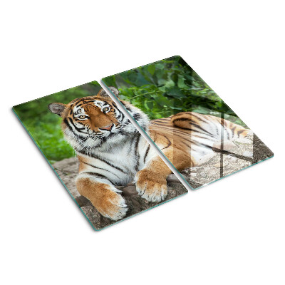 Planche à découper verre Tigre dans son habitat naturel