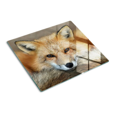 Planche à découper verre Jeune renard roux