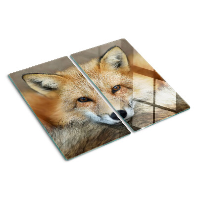 Planche à découper verre Jeune renard roux