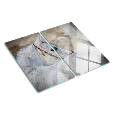 Planche à découper verre Jeune cheval blanc