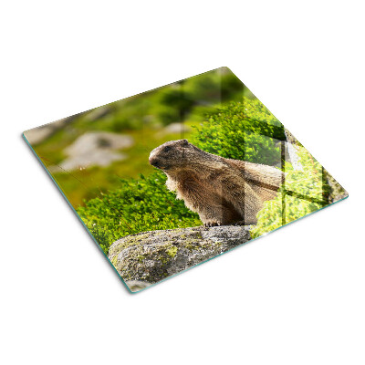 Planche à découper verre Marmotte sur fond d'herbe verte