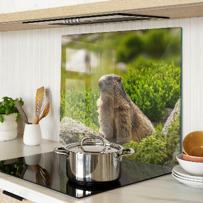 Planche à découper verre Marmotte sur fond d'herbe verte
