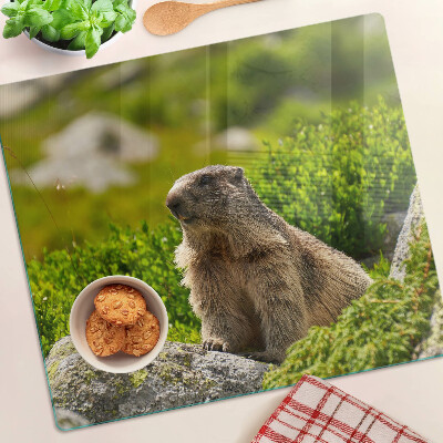 Planche à découper verre Marmotte sur fond d'herbe verte