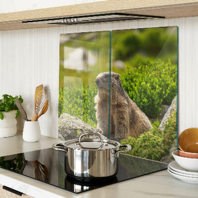 Planche à découper verre Marmotte sur fond d'herbe verte
