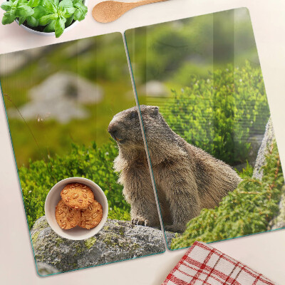 Planche à découper verre Marmotte sur fond d'herbe verte