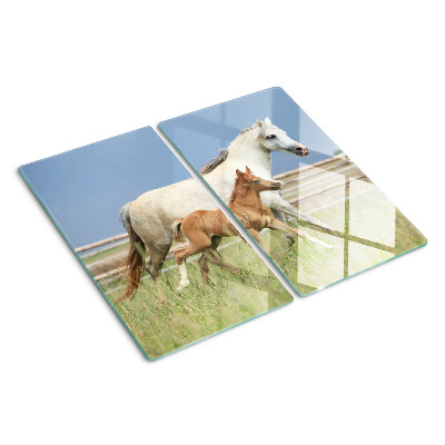 Planche à découper en verre Un cheval avec un poulain dans un pré