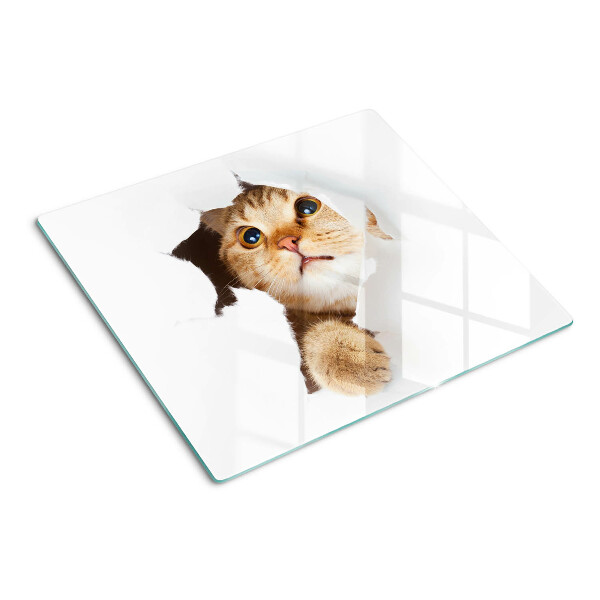 Planche à découper en verre Un chat regardant à travers un trou dans le mur