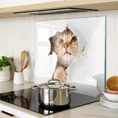 Planche à découper en verre Un chat regardant à travers un trou dans le mur