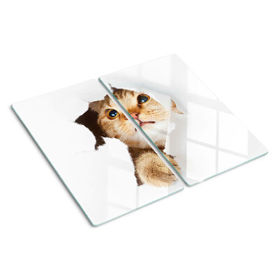Planche à découper en verre Un chat regardant à travers un trou dans le mur