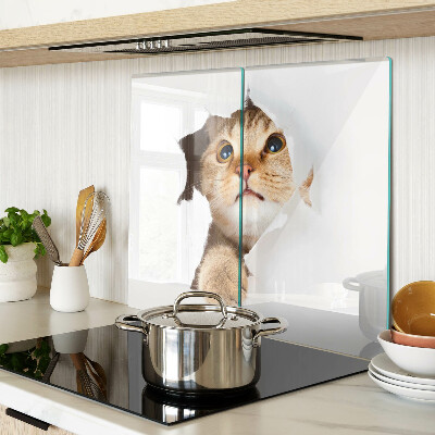 Planche à découper en verre Un chat regardant à travers un trou dans le mur