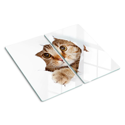 Planche à découper verre Un chat sortant d'un trou