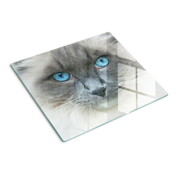 Planche à découper en verre Chat aux yeux bleus